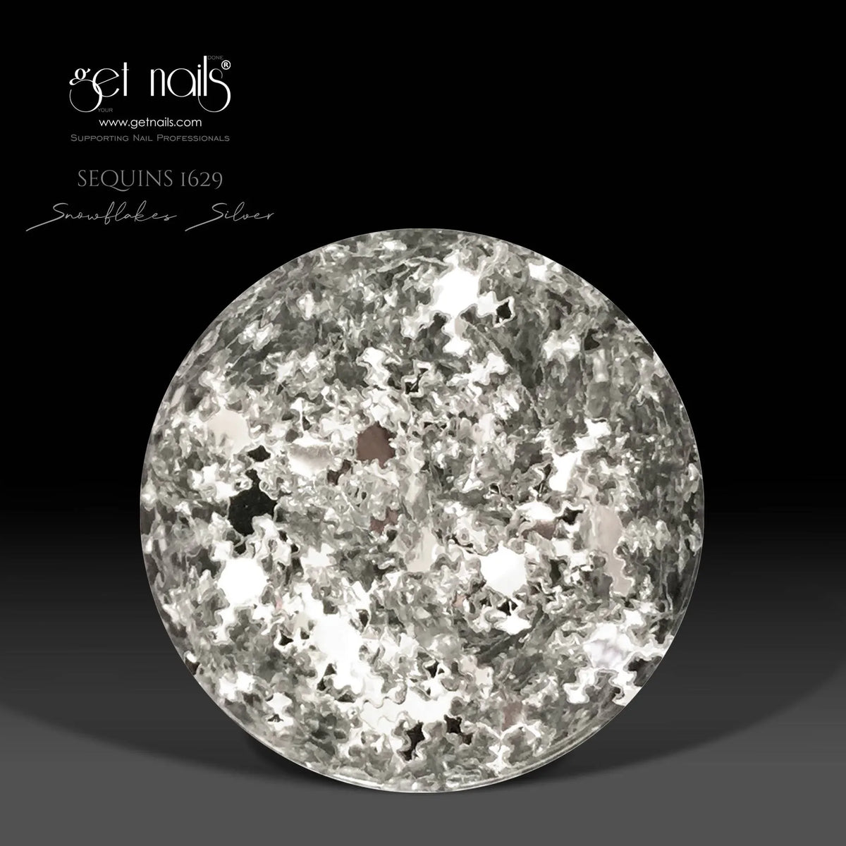 Paiete 1629 Snowflakes Silver