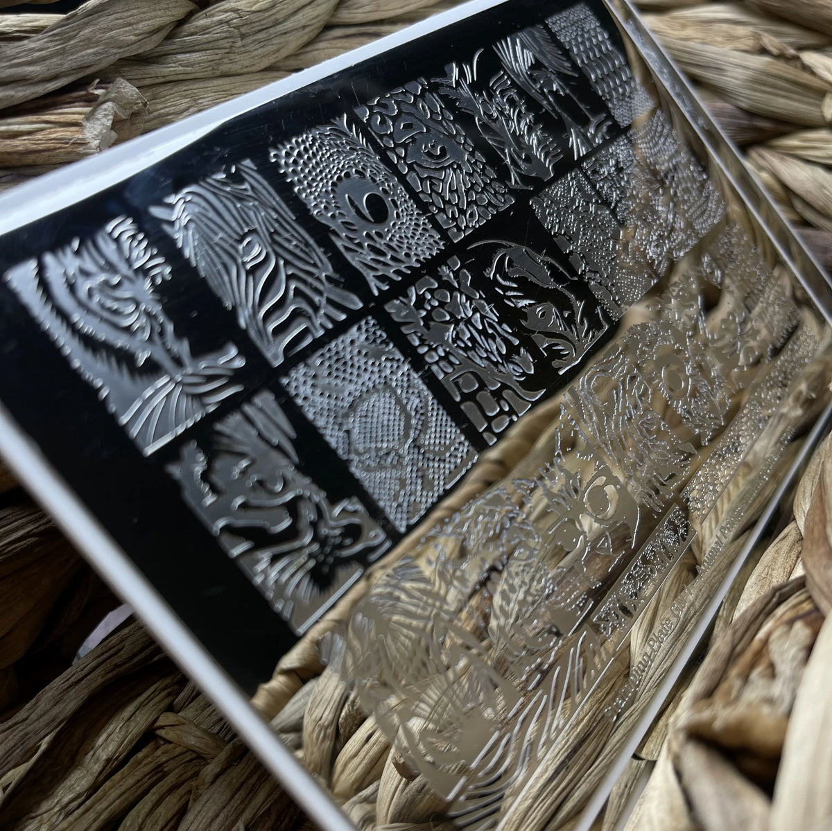 Stamping Plate GN 1 - Animal Prints
