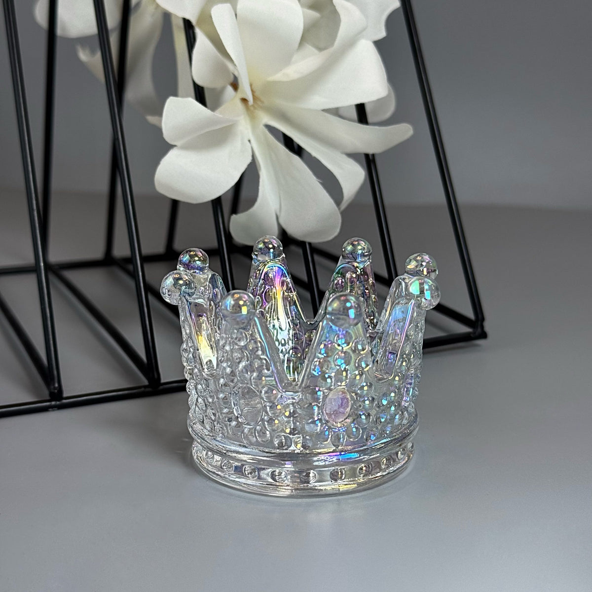 Support à pinceaux Crown Crystal AB GN