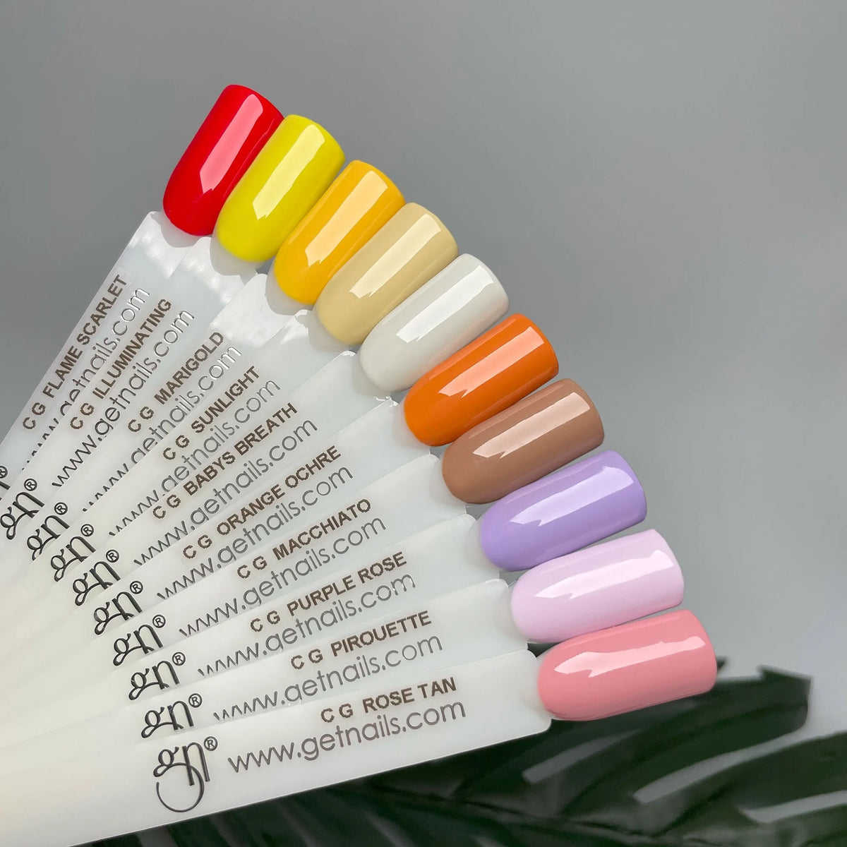 Colour Gel Pirouette | Gel Colorat UV/LED