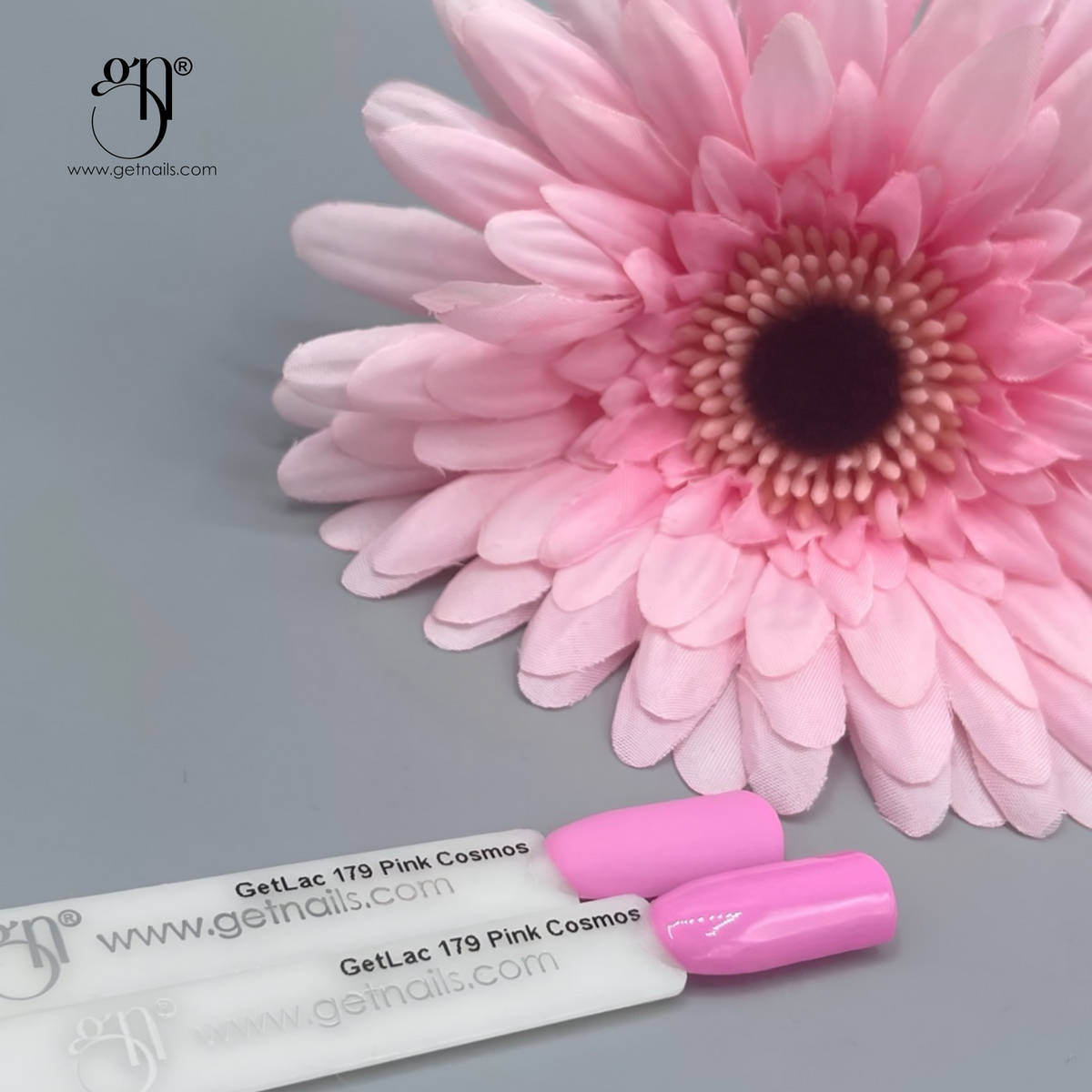 GetLac 179 Pink Cosmos