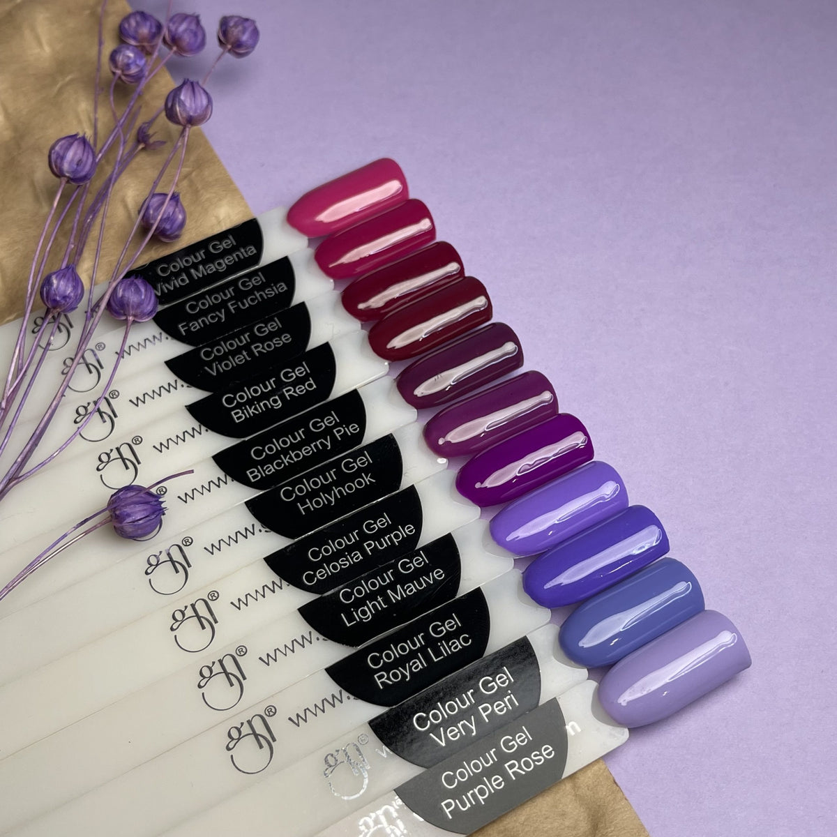 Colour Gel Holyhook | Gel Colorat UV/LED