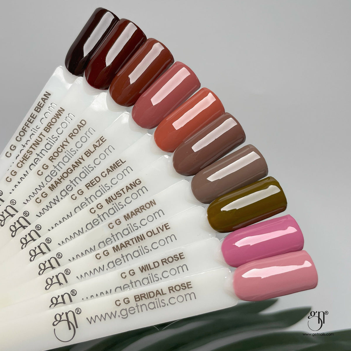 Gel Couleur Martini Olive | Gel Coloré UV/LED